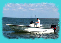 The Boat - Action Craft 20